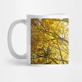 Colorado Aspen Trees in Fall Mug